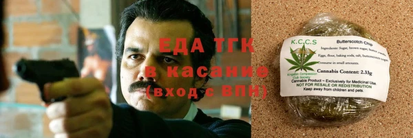 индика Горно-Алтайск