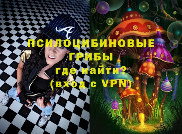 ПСИЛОЦИБИНОВЫЕ ГРИБЫ Горняк