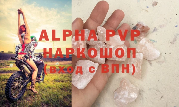 индика Горно-Алтайск