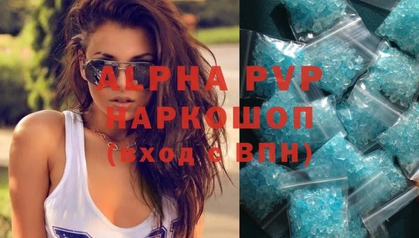 индика Горно-Алтайск