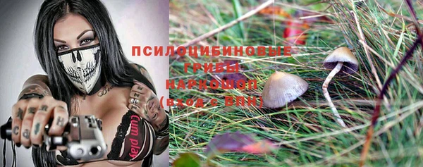 индика Горно-Алтайск