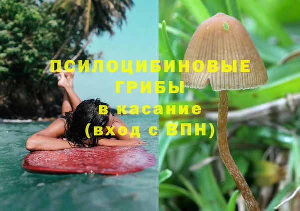 гидропоника Вяземский
