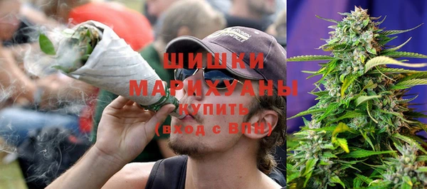 индика Горно-Алтайск