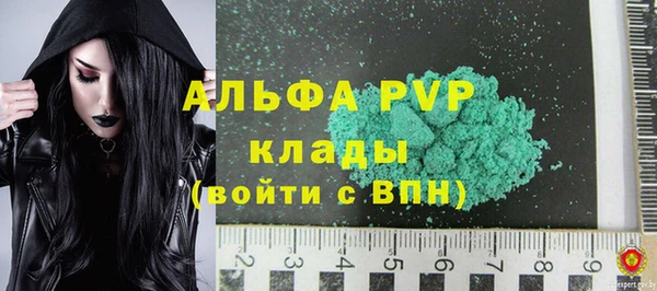 ПСИЛОЦИБИНОВЫЕ ГРИБЫ Горняк