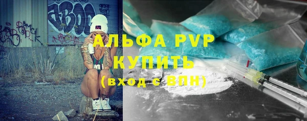 индика Горно-Алтайск