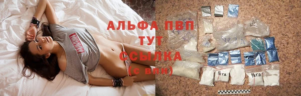 ПСИЛОЦИБИНОВЫЕ ГРИБЫ Горняк