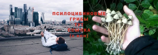 гидропоника Вяземский